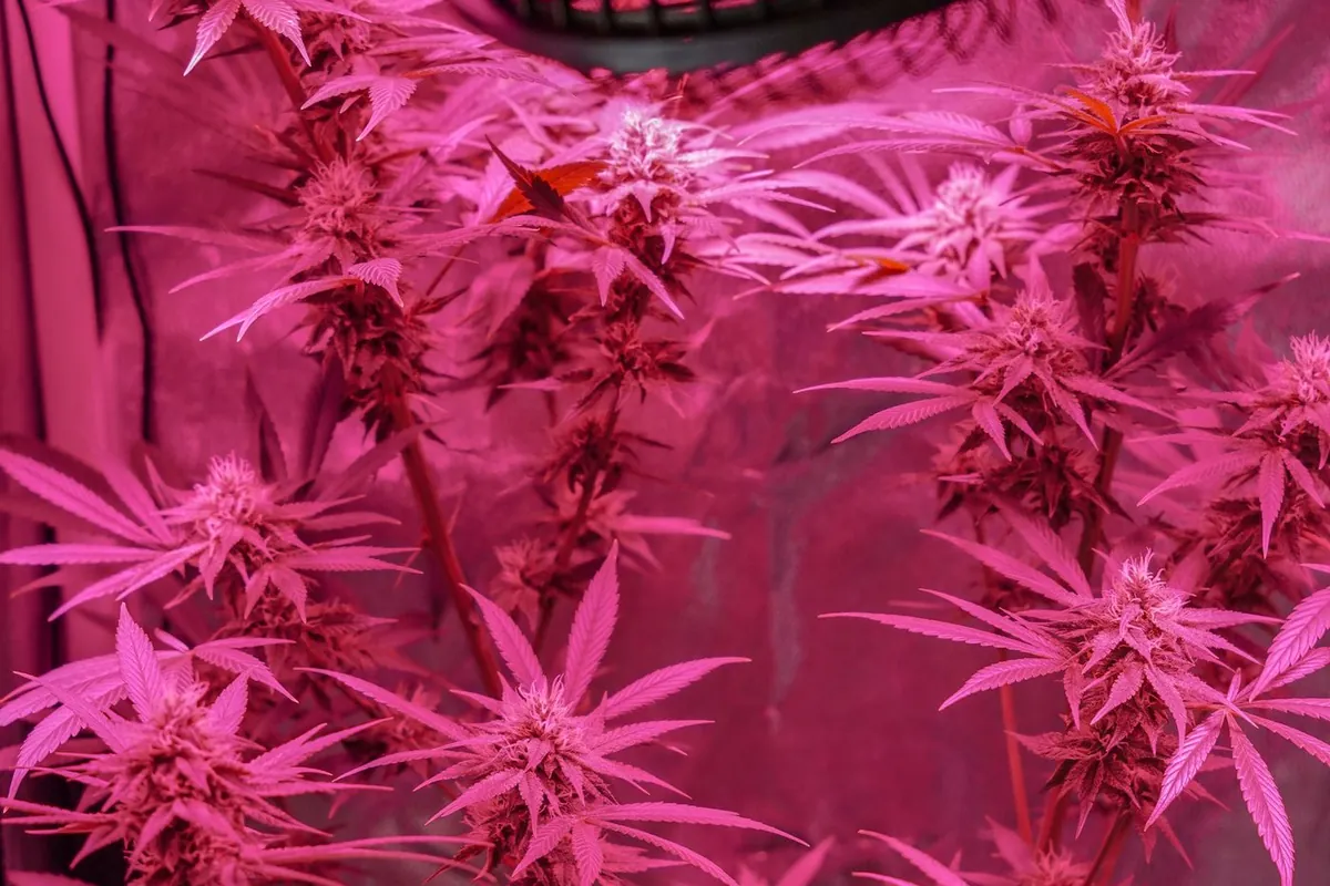 Iluminación LED a fondo
