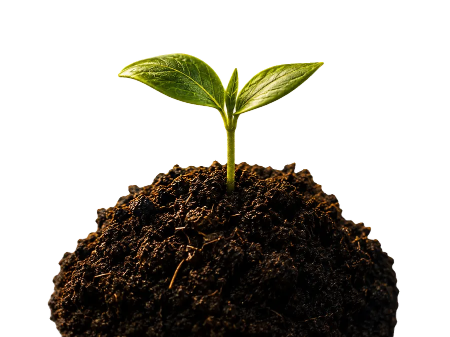 Cultivo — BotanicLab