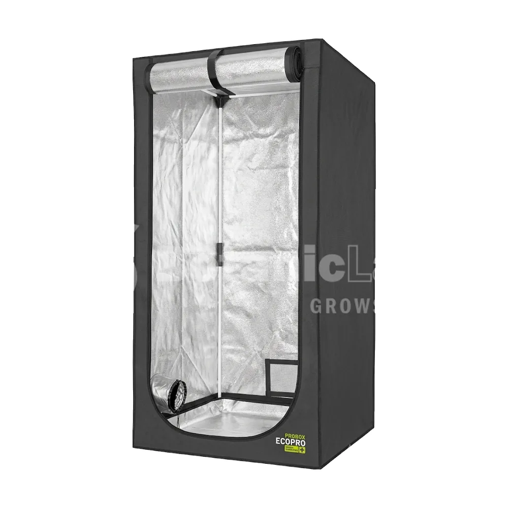 CARPA  80X80X160