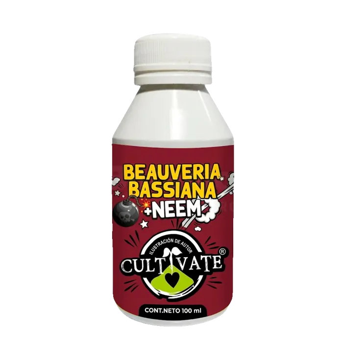 CULTIVATE BEAUVERIA