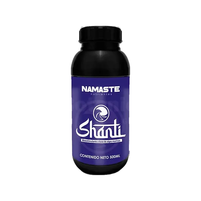 Nama Shanti