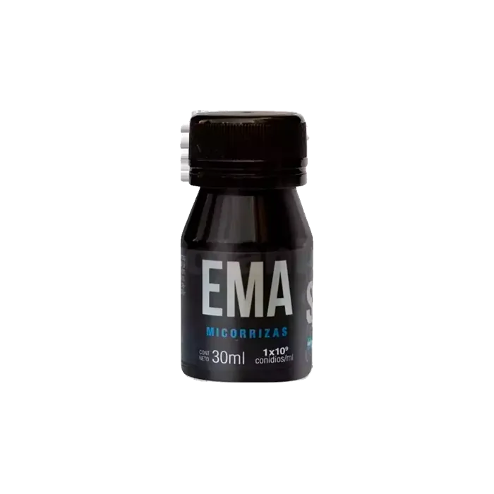 SKOG EMA