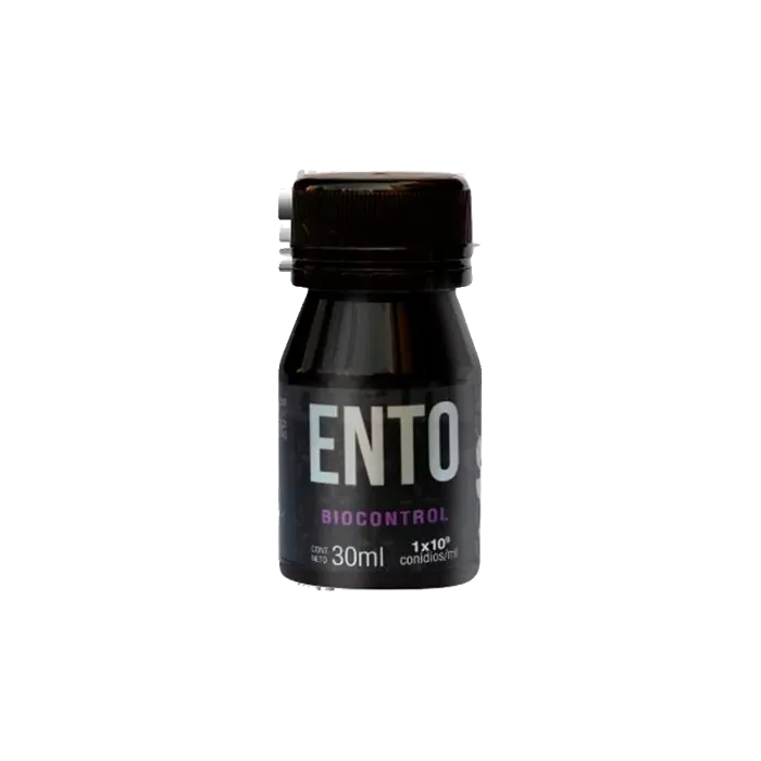 SKOG ENTO
