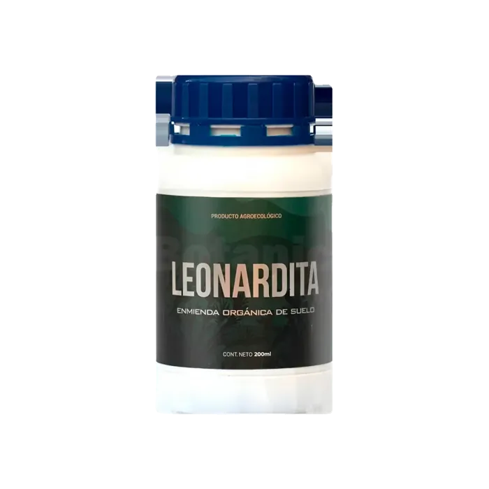 SKOG LEONARDITA