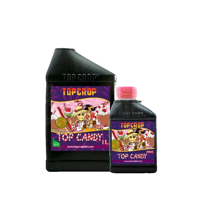 Top Candy