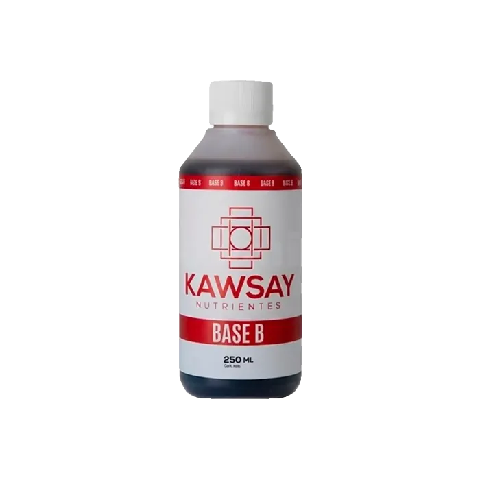 Kawsay Base B