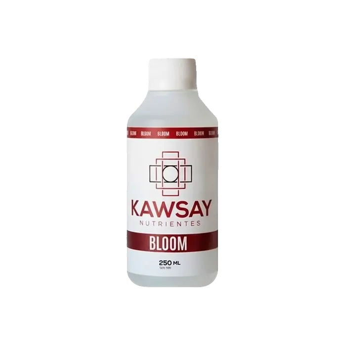 Kawsay Base Bloom